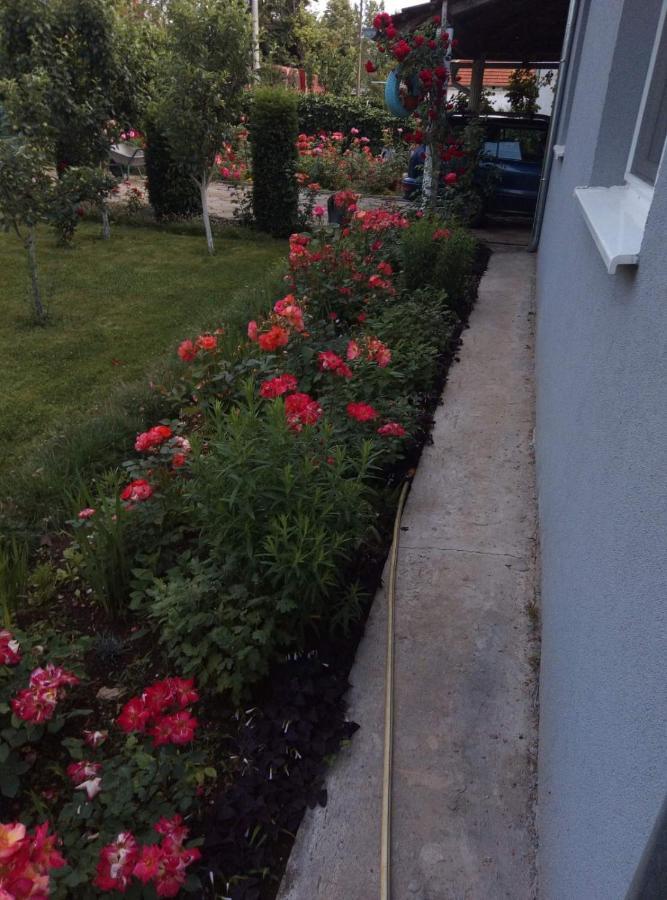 Kuca Za Odmor Duranovic Appartement Kladovo Buitenkant foto